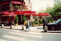 Cafe in Paris