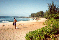 Waimea Bay, Waikiki, Hawaii