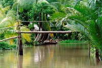 mekong_bridge2_s.jpg